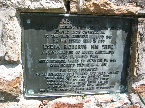 plaque