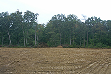 14-Sep-2004