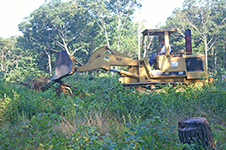 Scraping 1