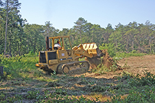 Scraping 1