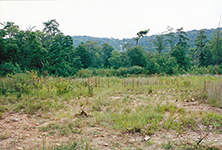 2001b