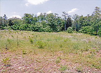 10-Jun-2003