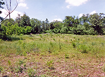 10-Jun-2003