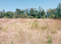 20-Sep-2004