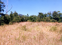 20-Sep-2004
