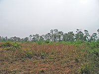 4-Oct-2005a