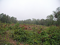 4-Oct-2005b