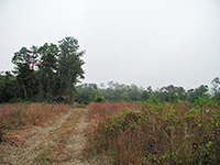 4-Oct-2005c