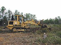Stump Removal 1