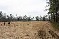 28-Mar-2011a