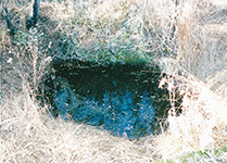 shaft2