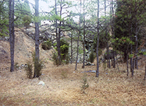 Magnesite mine