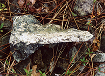 Magnesite ore